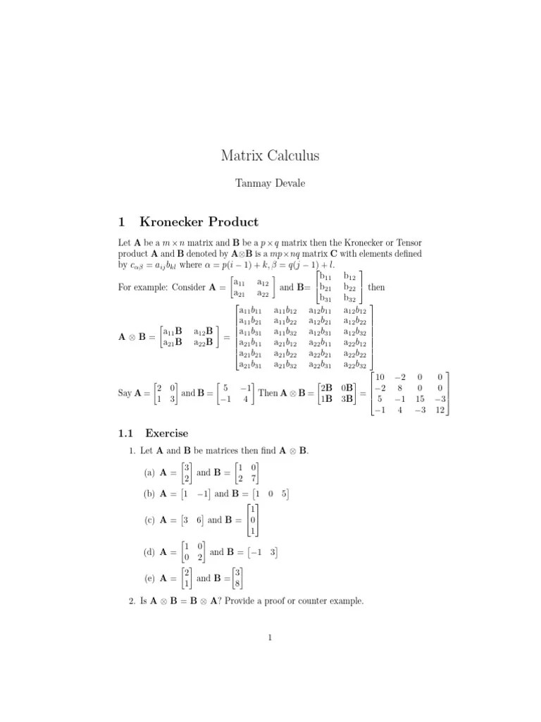 Matrix Calculus And Kronecker Product | PDF | Functions And Mappings ...