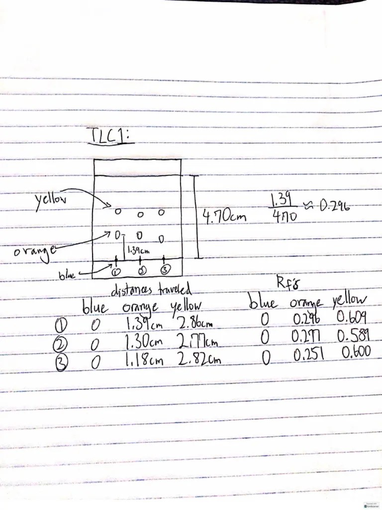 L3 Worksheet Drawing | PDF