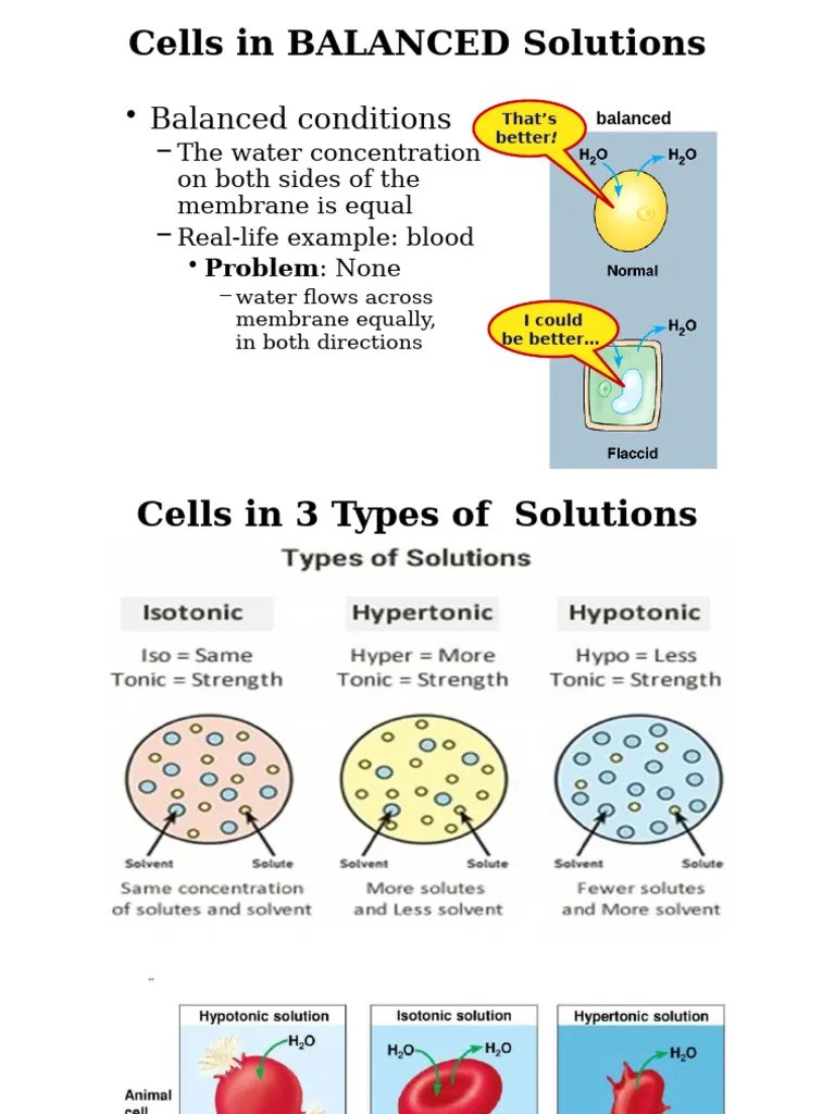 Hypotonic Hypertonic Isotonic Solutions | PDF
