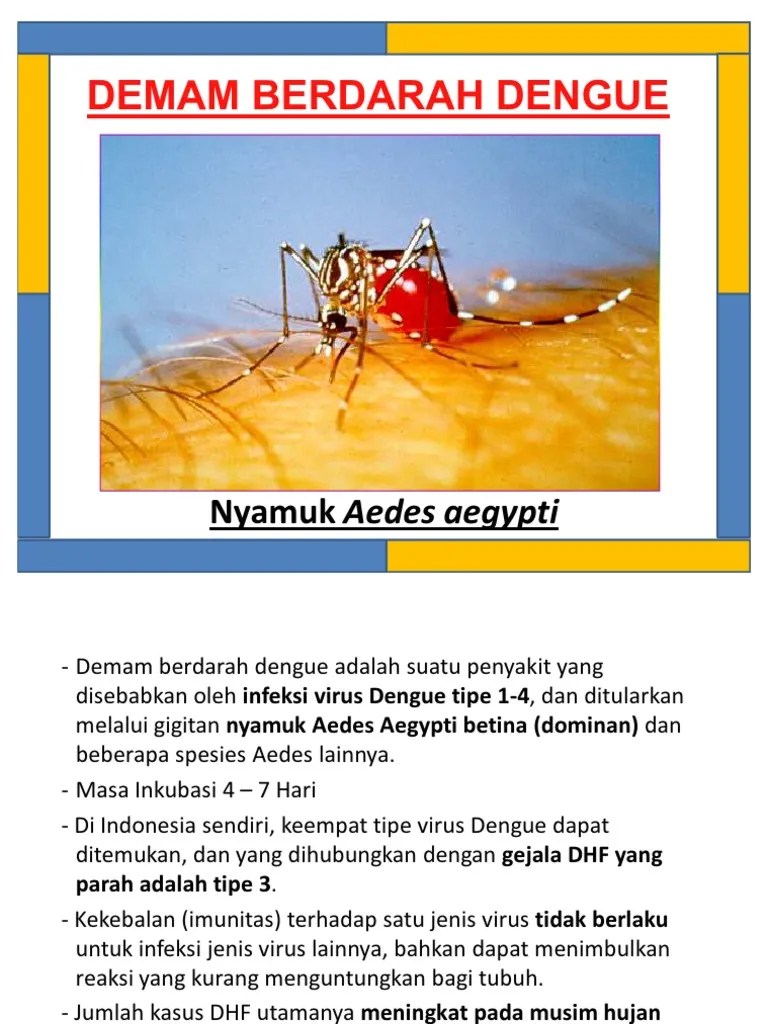 Materi Lembar Balik DBD (Demam Berdarah Dengue) | PDF