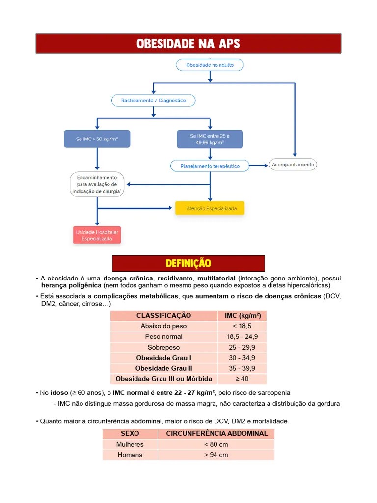 Obesidade Na APS | PDF