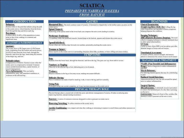 Poster Presentation (1) . | PDF