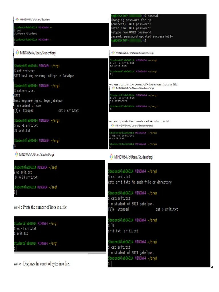 College Linux Lab Practical 1 Printout | PDF
