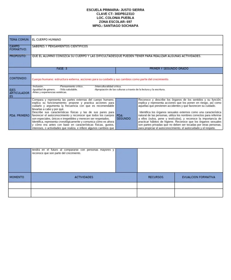 FORMATO DE PROGRAMA ANALITICO | PDF