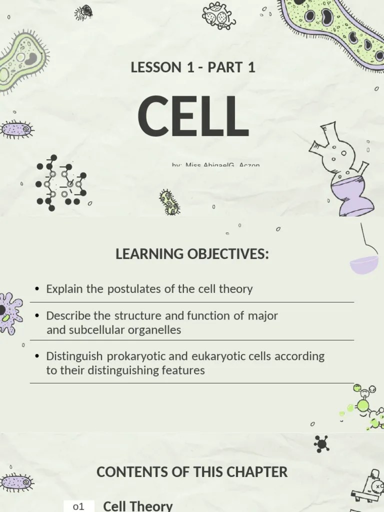 Lesson 1 - Cell Part 1 - Student's | PDF