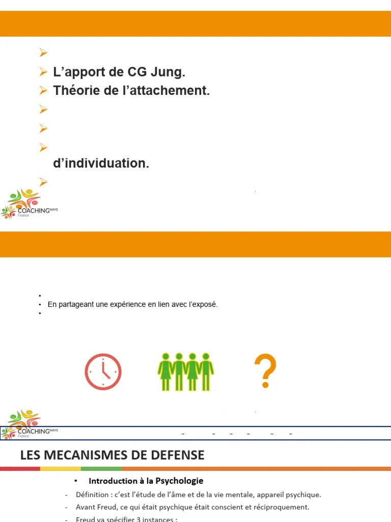Les Mecanismes De Defense | PDF