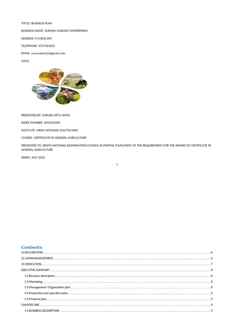 Business Plan | PDF | Marketing | Business