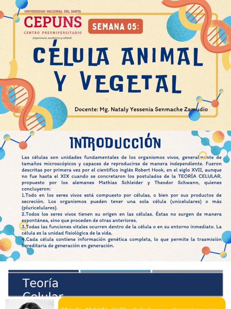 S-05 EUCARIOTA Y PROCARIOTA | PDF