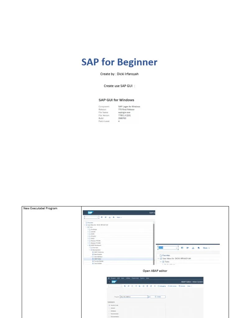 ABAP - Hello World Program | PDF