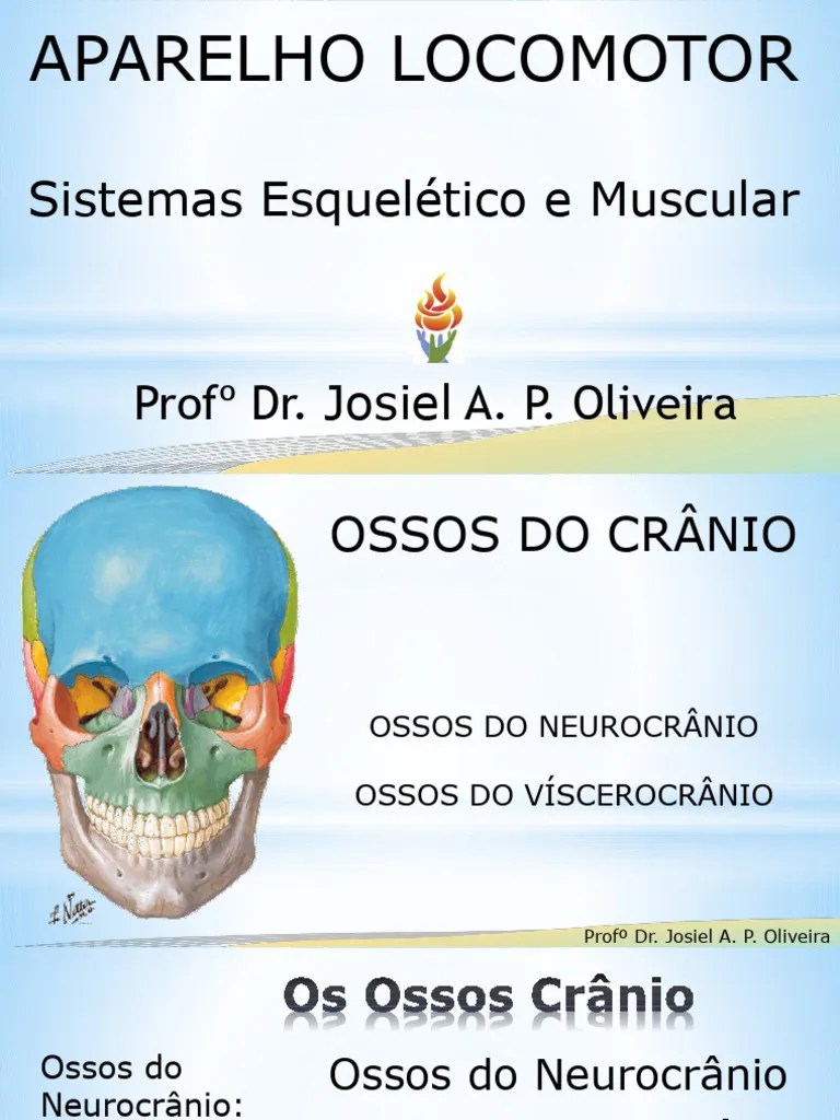 Aula 5 - Ossos Do Crânio | PDF