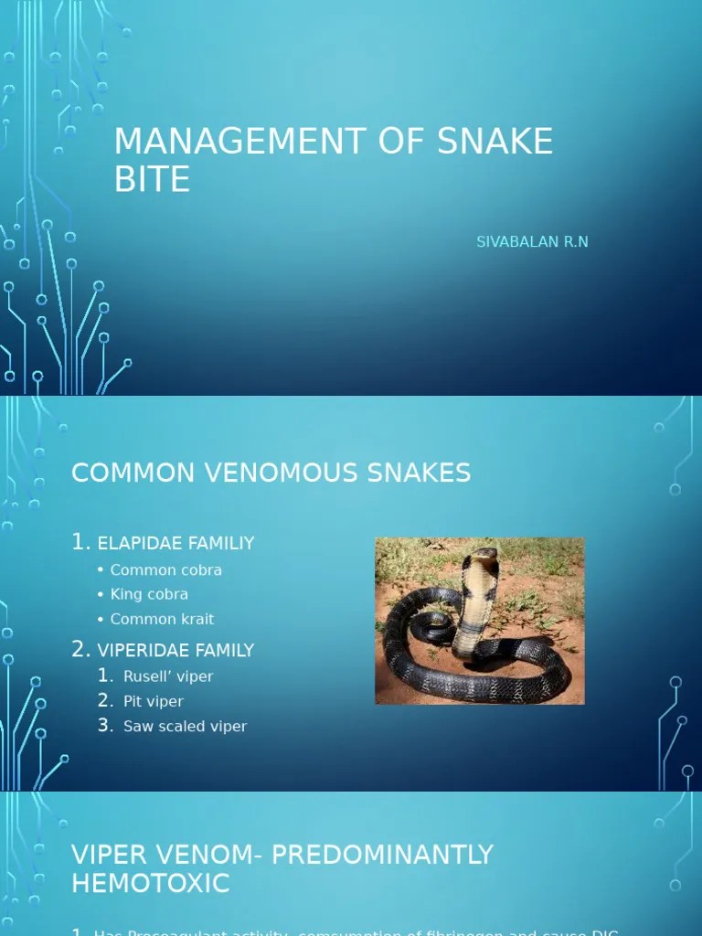 Management Of Snake Bite | PDF