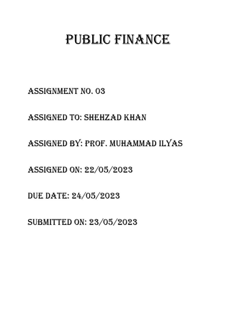 Public Finance Assignment 3 | PDF