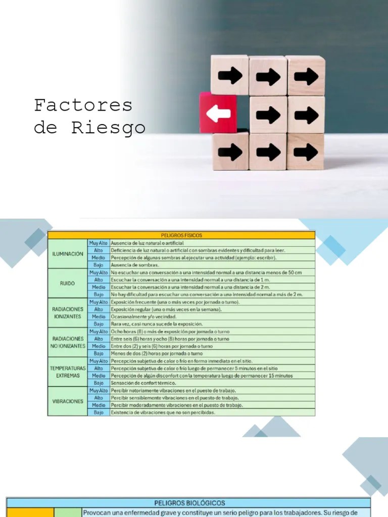 Factores De Riesgo | PDF