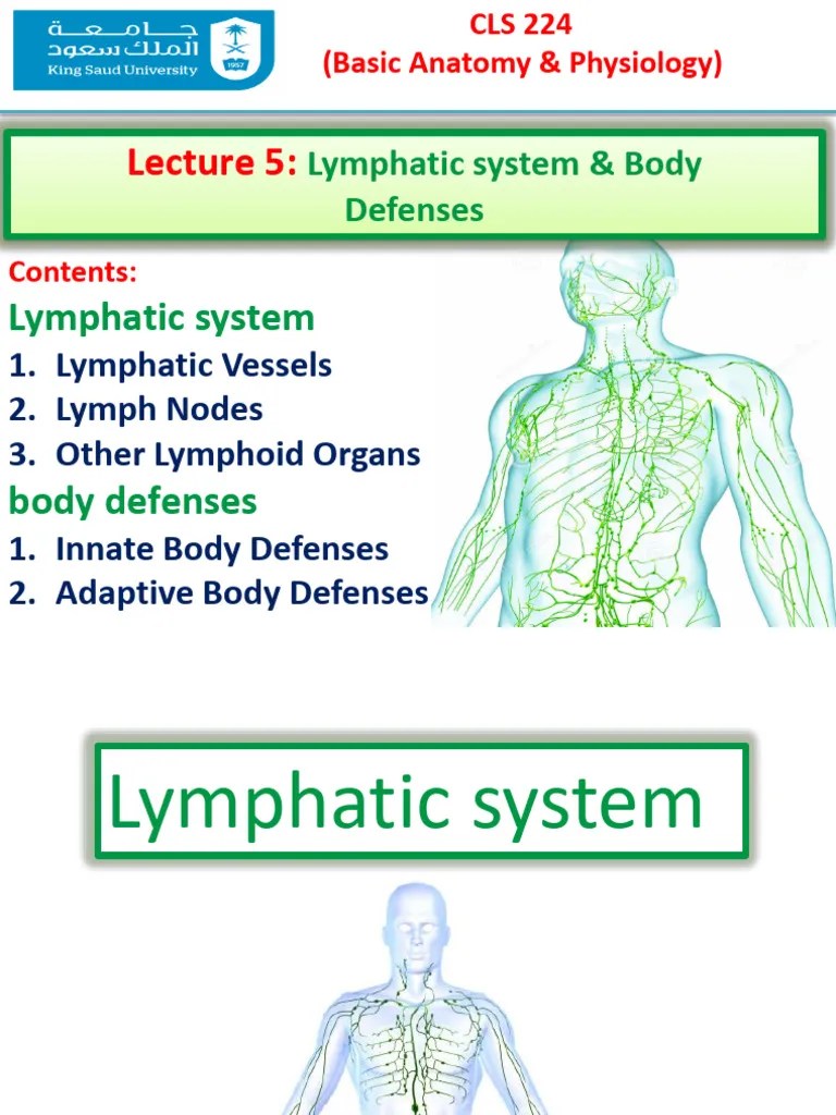CLS224-lecture 5-Lymphatic System | PDF