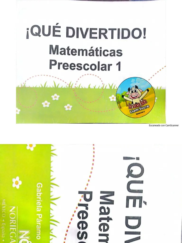 MATEMATICA PARA APRENDER | PDF