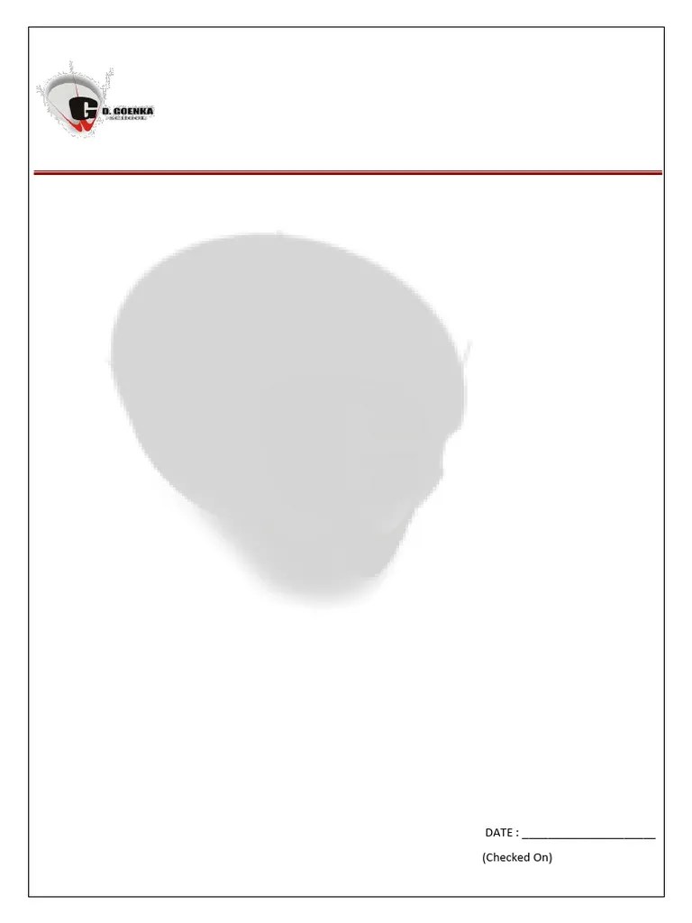 Class 5 CH5 ENHANCING A PRESENTATION | PDF | Business | Computers