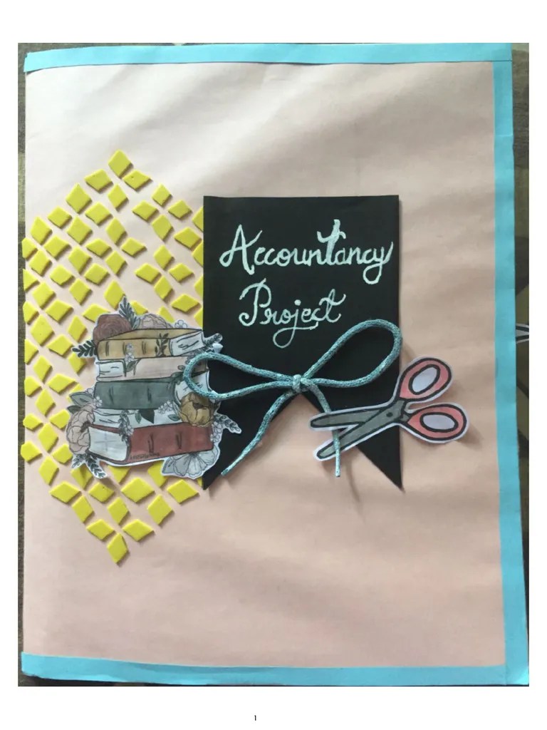 Class-12 Accountancy Project File | PDF