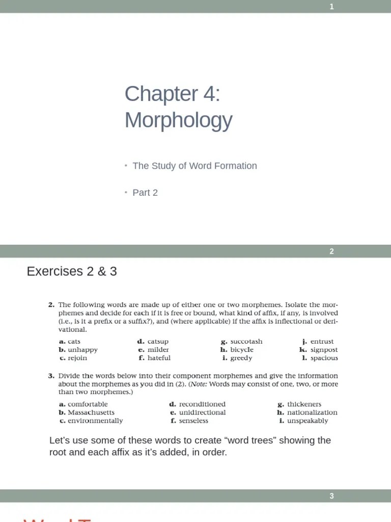 Morphology 2 | PDF | Morphology (Linguistics) | Word