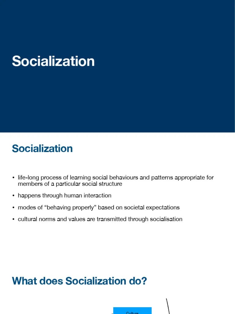 Sociology | PDF | Socialization | Behavioural Sciences