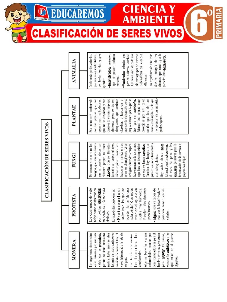 Clasificacion De Seres Vivos Para Sexto Grado De Primaria | PDF | Hongo | Plantas