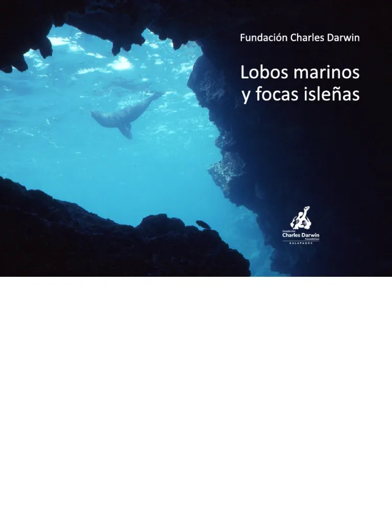 Lobos Marinos Y Focas Islenas | PDF
