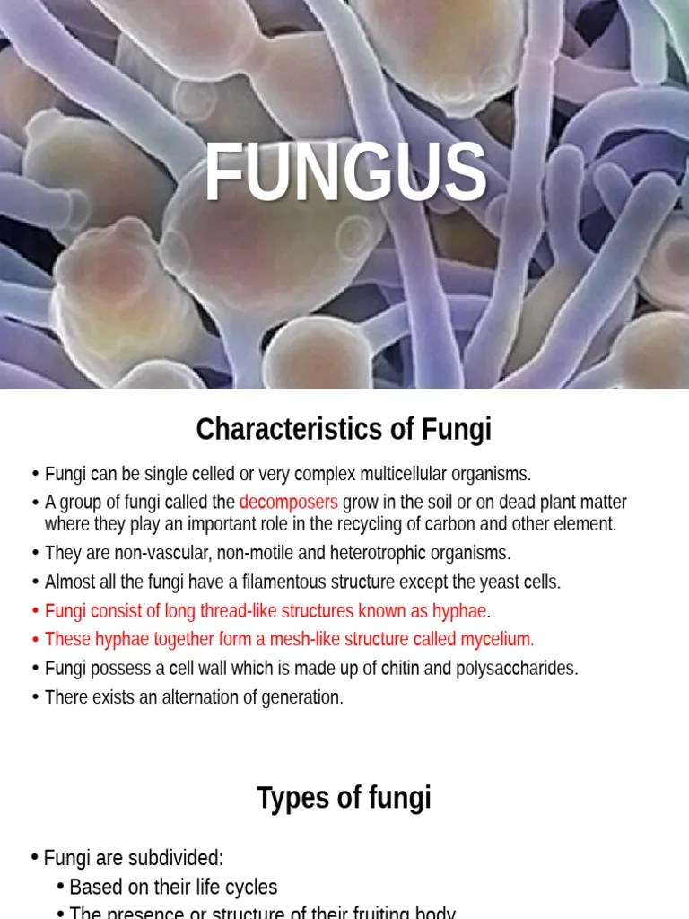 Fungi | PDF | Fungus | Organisms