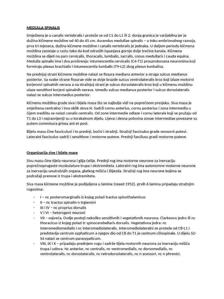 Medulla Spinalis | PDF