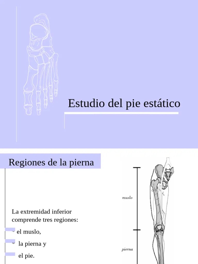 Anatomia Del Pie | PDF | Pie | Tobillo