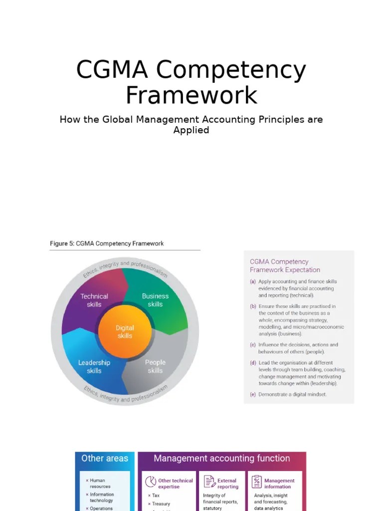 CGMA Competency Framework | PDF | Finance & Money Management