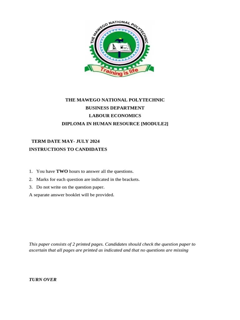 Labour Economics | PDF