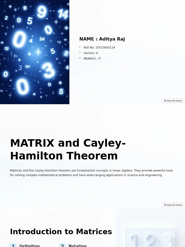 MATRIX | PDF | Matrix (Mathematics) | Determinant