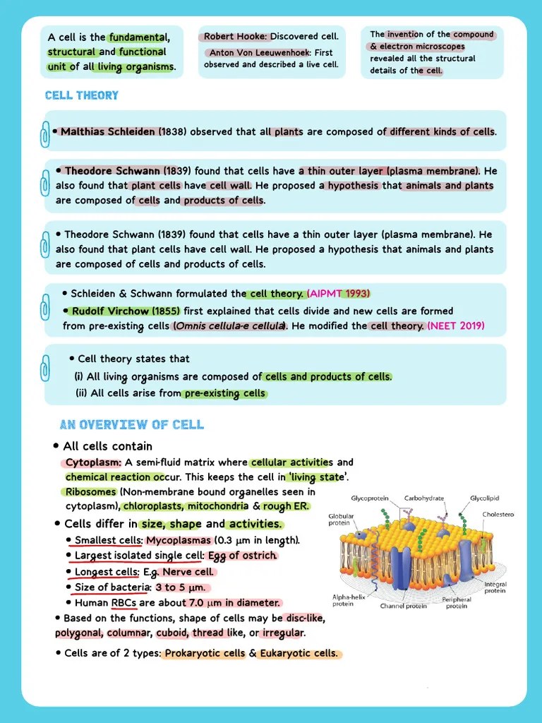 Chap 8 - Cell The Unit Of Life | PDF | Cell (Biology) | Eukaryotes