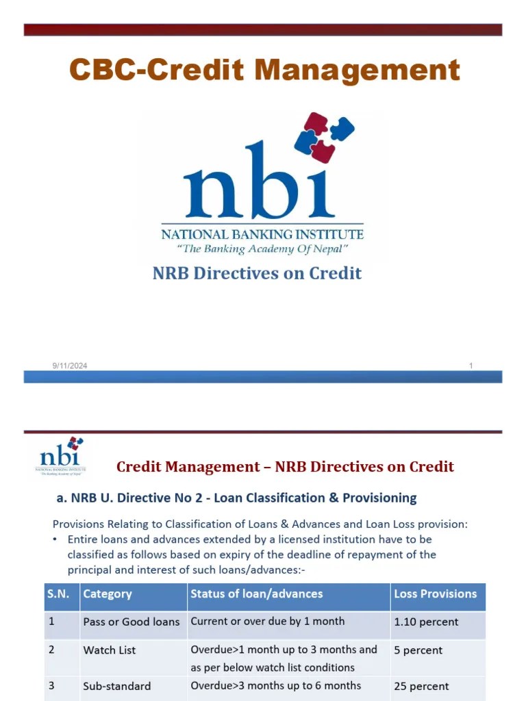 NRB Directive On Credit | PDF | Debt | Finance & Money Management