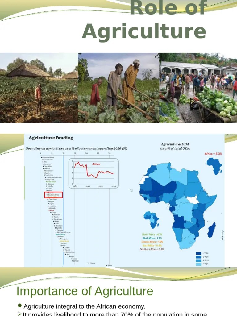 Agriculture | PDF | Agriculture | Smallholding