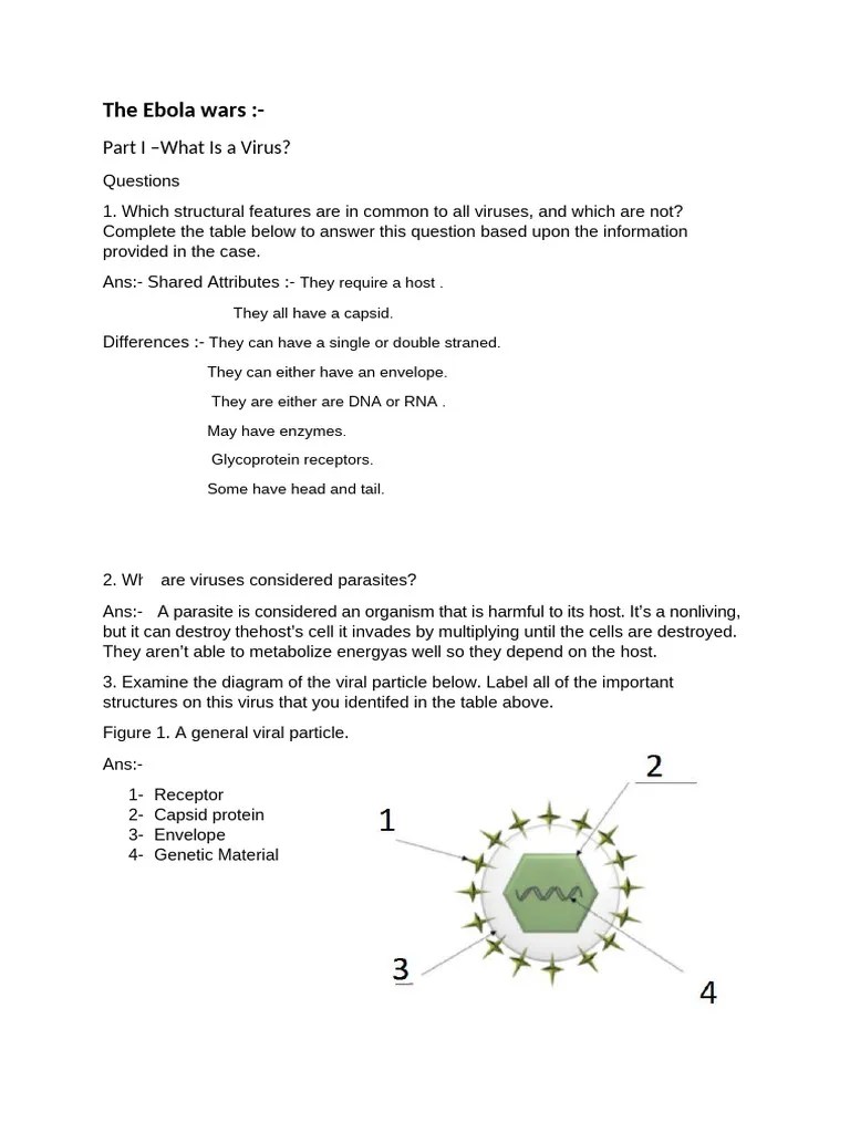 Ebola Wars | PDF | Virus | Cell (Biology)