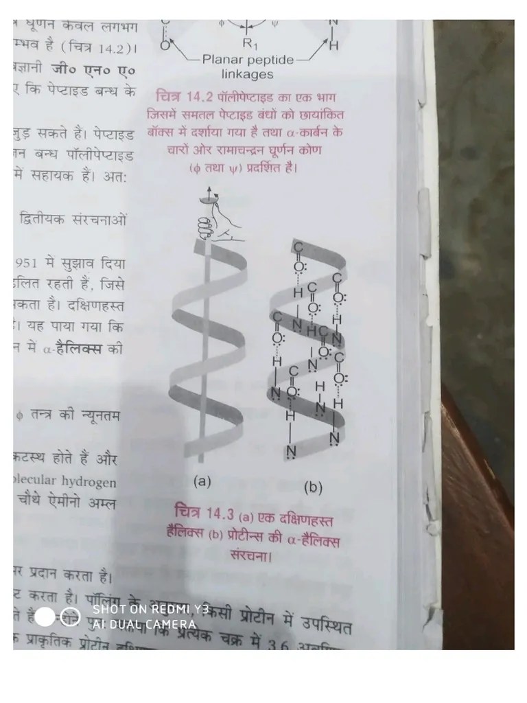 Protein Structure 2 Pdf