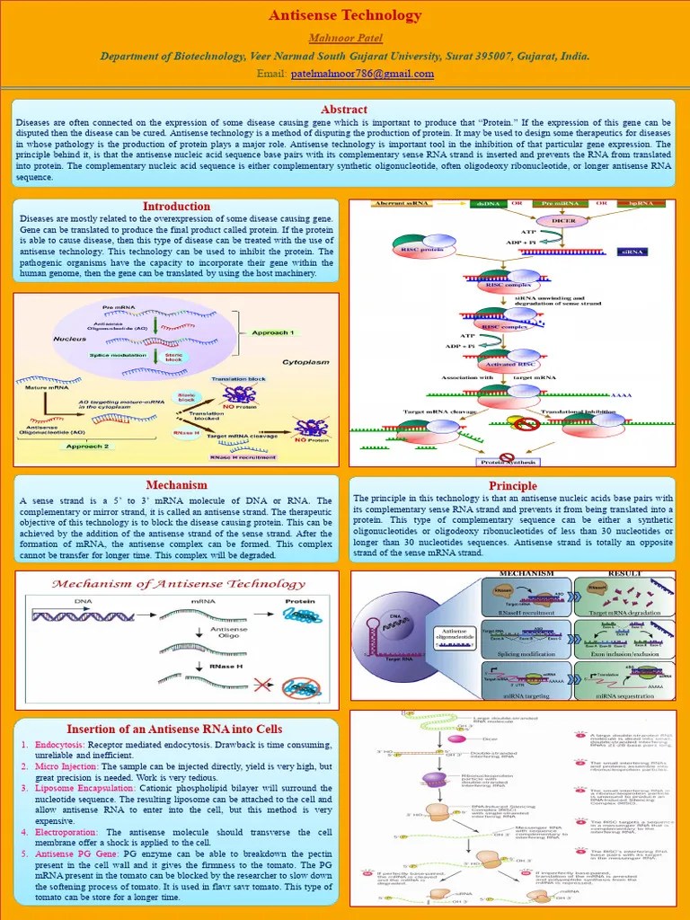 Antisense Technology | PDF | Sense (Molecular Biology) | Molecular Biology