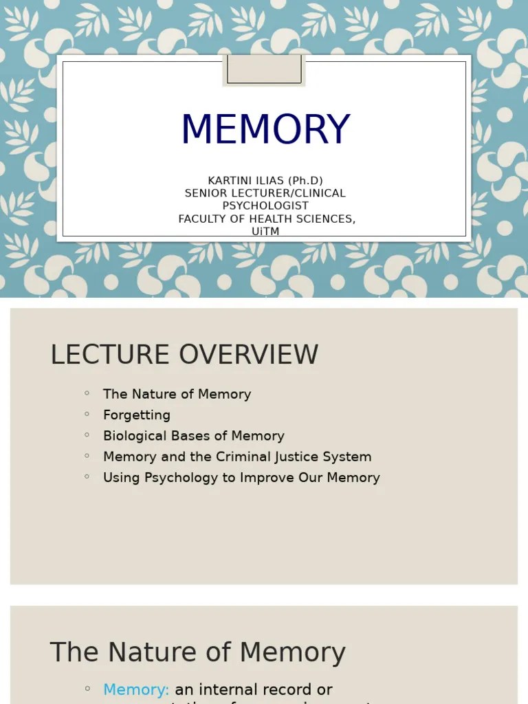 03 Memory | PDF | Memory | Long Term Memory