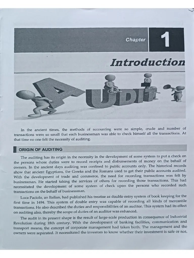 Auditing Chapter 1 | PDF