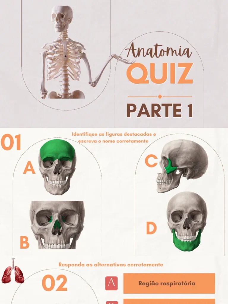 Quiz De Anatomia Parte 1 | PDF | Músculo | Osso