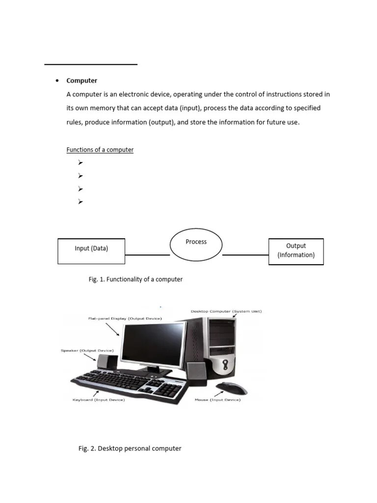INTRODUCTION TO COMPUTERS | PDF | Integrated Circuit | Data