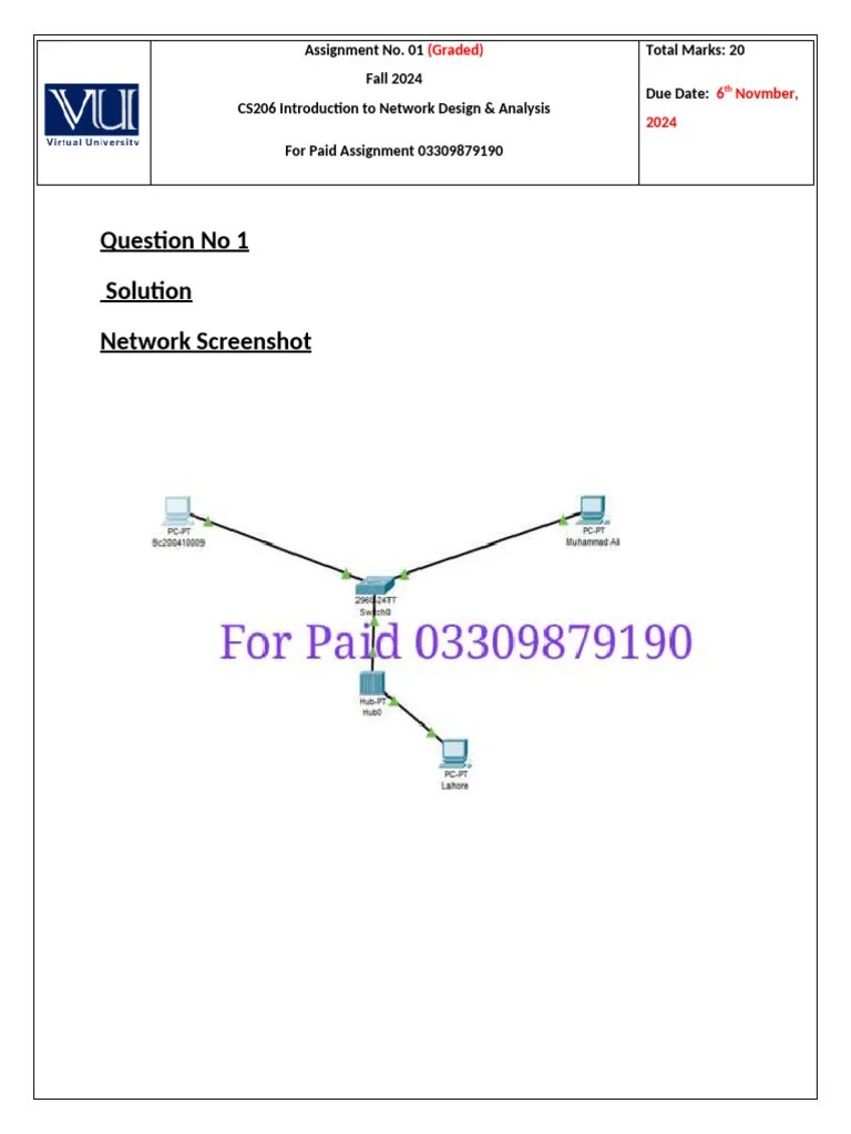 Cs206 Assignment 1 2024 100% Correct Solution | PDF | Computers