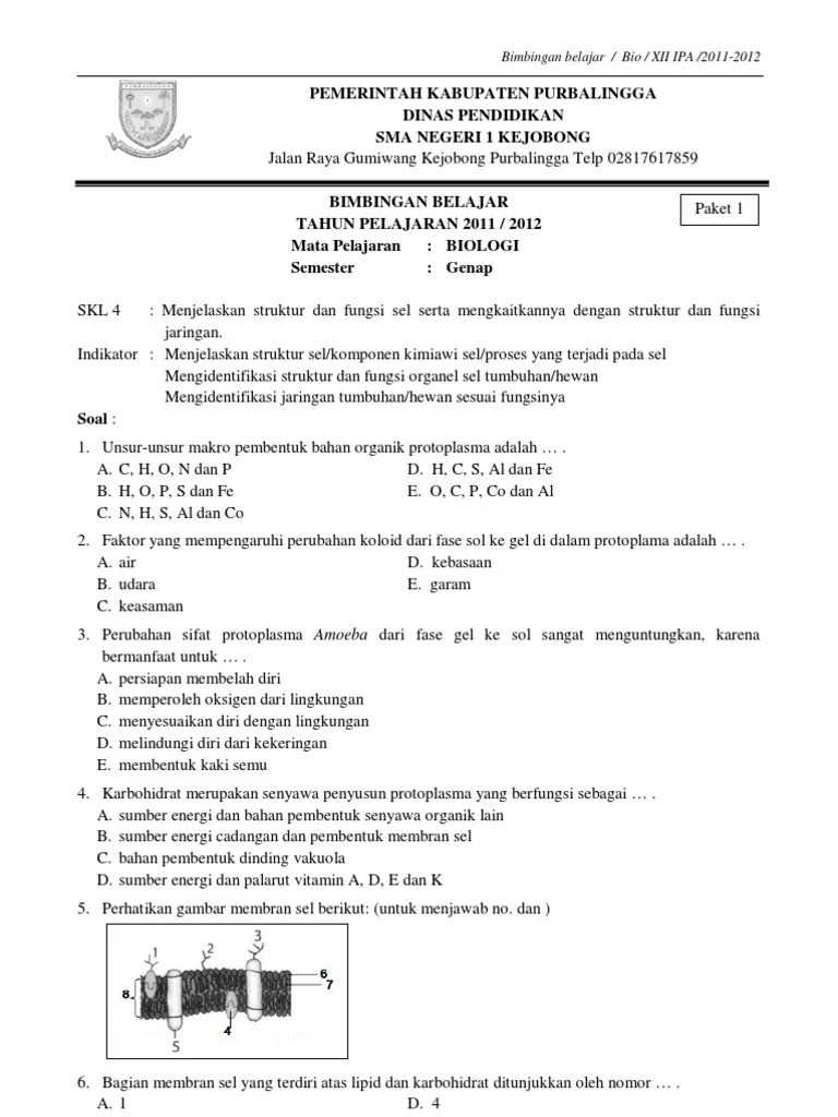 Contoh soal biologi kelas xi semester 1 beserta jawabannya ( lengkap) 1. Bank Soal Biologi Kelas Xi