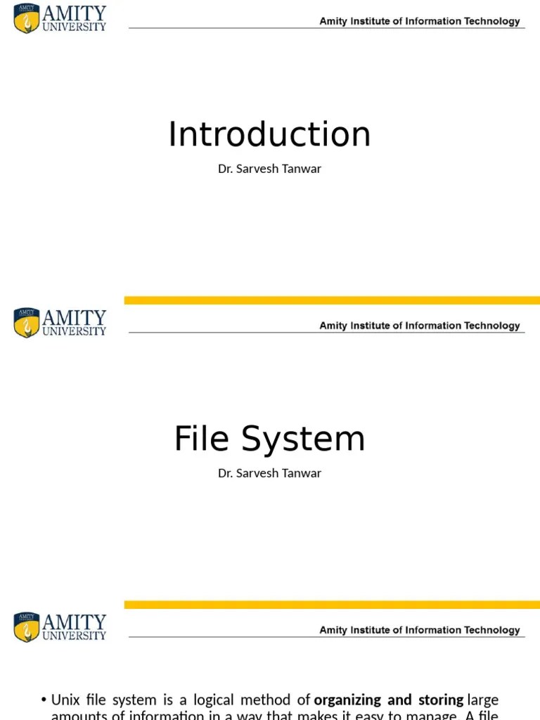 File System | PDF | File System | Computer File