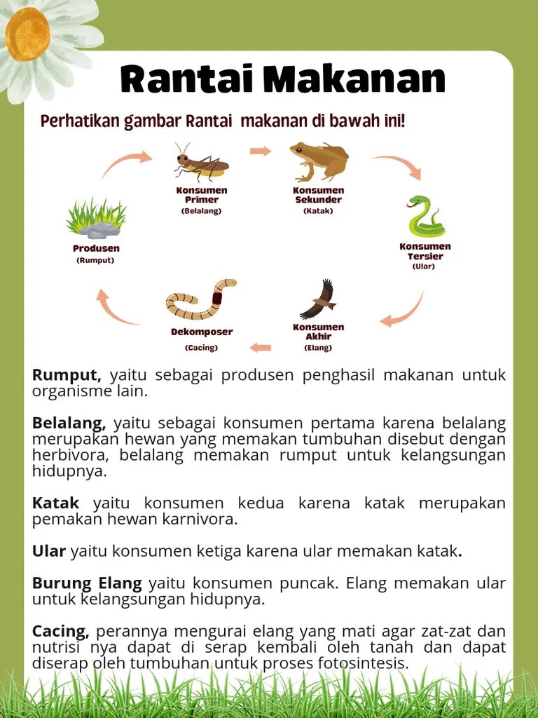 Minimalis Bagian Tumbuhan Lembar Kerja Bahasa Indonesia Pdf - High Quality 4K Mountain Images | Free Download