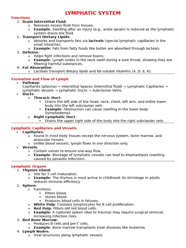 LYMPHATIC SYSTEM | PDF | Lymphatic System | Immune System