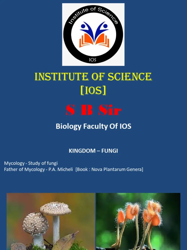 Kingdom Fungus | PDF | Fungus | Spore