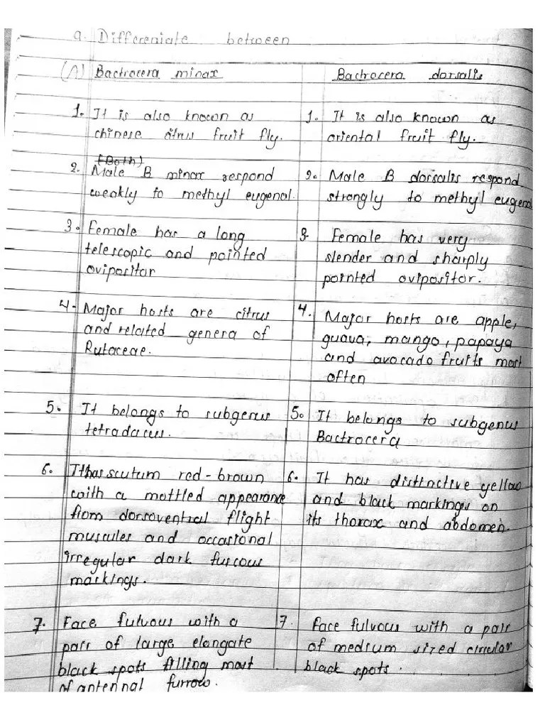 Assignment Difference Between | PDF