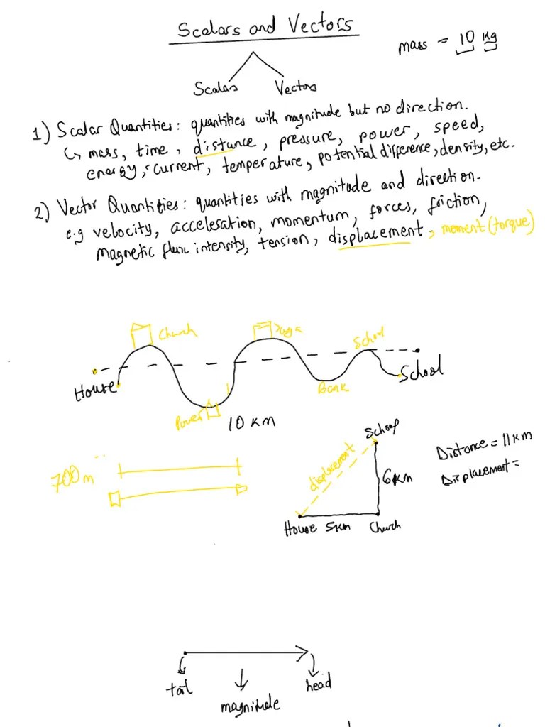 Scalars And Vectors | PDF