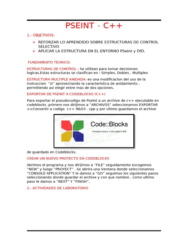 PSEINT | PDF | Computadoras